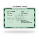 RG Vintage de Metal Premium | Eternize