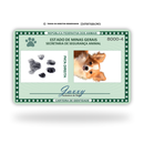 RG Vintage de Metal Premium | Eternize