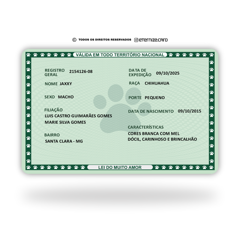 RG Vintage de Metal Premium | Eternize