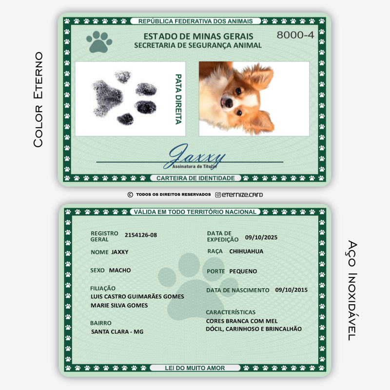 RG Vintage de Metal Premium | Eternize